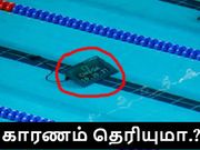 ஒலிம்பிக் நீச்சல் குளத்தில் டிஜிட்டல் திரை காரணம் தெரியுமா.??