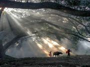 சொன்னால் நம்ப மாட்டீர்கள், பார்த்துத் தெரிந்து கொள்ளுங்கள்!