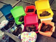 பார்த்து கத்துக்கோங்க.. இண்டர்நெட்டில் இப்படியும் சம்பாதிக்கும் ஒரு கூட்டம்.!