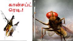 லேசரில் இயங்கும் பூச்சி போன்ற வடிவமைப்பை கொண்ட ' ரோபோ ப்ளை'.!