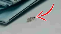 கடையில் வைர கற்கள் நூதன மாயம்- போலீசாருக்கே தண்ணி காட்டிய அப்பாடேக்கர் திருடன்.!
