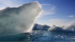 2018ம் ஆண்டின் சிறந்த 17 வைரல் வீடியோக்கள்.!