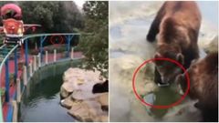 கரடிக்கு ஆப்பிள் போட சொன்னா ஆப்பிள் ஐபோன போட்டுடேயேப்பா.!