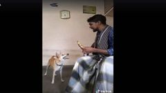 இளைஞருடன் நாய்பேசி அசத்திய கவுண்டமணி செந்தில் டப்ஸ்மேட்ச்: வைரல் வீடியோக்கள்.!