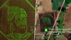 உலகினரை உற்று நோக்கவைத்த இந்திய கலைஞரின் விவசாய ஓவியம்! கூகுள் மேப் வேணும் இதை பார்க்க!