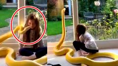 வைரல் வீடியோ: சிறுமிக்கு கிஸ் கொடுத்த பாம்பு! பாய்சன் இல்ல மொத்தமும் பாசம் தான்!