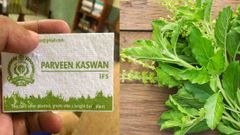 விசிட்டிங் கார்டை நட்டுவச்சா செடி வளரும் அதிசயம்! நெட்டிசன்ஸ்கள் பாராட்டு!