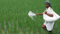 கூகுள் அறிமுகம் செய்த விவசாய ரோபோக்கள்: நிலங்களை கண்காணிக்கும் அம்சம்!