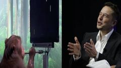 இதுமட்டும் மனிதனுக்கு வச்சா?- ஜூஸ் குடித்து கொண்டு வீடியோகேம் விளையாடும் குரங்கு- மூளையில் இருக்கும் ஒரே சிப்!