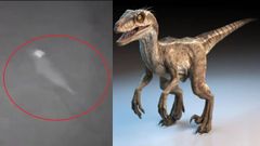 CCTV கேமராவில் பதிவான 'குட்டி டைனோசர்' போன்ற உயிரினம்.! இணையத்தில் வைரலாகும் வீடியோ..