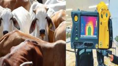 பசுக்களுக்கு ஆக்சிமீட்டர், தெர்மல் ஸ்கேனரா?- சமூகவலைதளத்தில் வலுக்கும் விமர்சனம்- உ.பி அரசு பதில்!