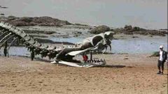 கூகிள் மேப்ஸ் இல் சிக்கிய ராட்சத பாம்பின் எலும்புக்கூடு: அடேங்கப்பா எவ்வளவு நீளம்! உண்மையில் இது என்ன தெரியுமா