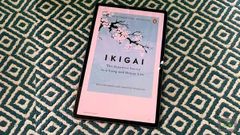 Lenovo Tab P11 Pro Review: A Sleek Tablet Perfect For Individual Needs