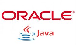 Java Poses Risk Even After Security Update: US Government