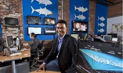 Twitter Officially Announces Bluefin Labs Acquisition