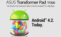 Android 4.2 Jelly Bean: Asus Transformer Pad TF300T India Owners to Receive Update Next Week