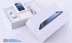 China Has Another Feather Under Its Kitty: An iPad Mini With Calling Facility