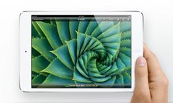 iPad Mini 2: LG to Commence Retina Display Panel Mass Production Next Month