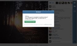 Instagram Adds Embedding Feature For Photos And Videos