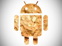 Google's Latest OS, Android M Stand For 'Macadamia Nut Cookie'