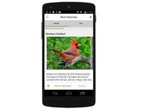 New app to identify bird from its chirp New app to identify bird from its chirp