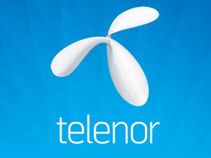 Telenor sees 50 percent of subscribers using data services by 2017