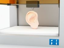 3D Printed ‘Live’ Ear made of Living Cells may soon replace your ‘Old’ one