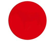 Can You See Hidden Image Inside This Mysterious Red Dot? I Bet You Won't!