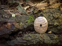 Did You Know! These 10 Odd Gadgets Exist in Reality