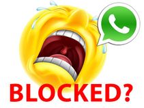 How to Chat with Someone on WhatsApp Even After Getting Blocked [100% Working]