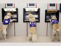 Demonetization: 5 Apps and Websites to Avoid Long Queues at ATMs and Banks