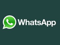 WhatsApp new beta version brings status reply and mute features WhatsApp new beta version brings status reply and mute features