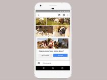 Google Photos gets new Suggested Sharing and Shared Libraries features Google Photos gets new Suggested Sharing and Shared Libraries features