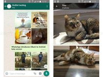 WhatsApp brings new Album feature for Android beta users WhatsApp brings new Album feature for Android beta users