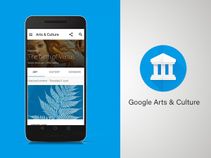 How to use Google Arts and Culture app in India