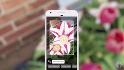 Google to roll out Lens for more Android devices