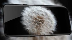 Lenovo Z5 camera samples emerge with ‘AI Dual Camera’ watermark