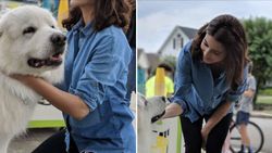 Anushka Sharma: The twitter tale between Android and iPhone