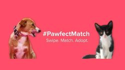 Tinder launches #PawfectMatch to amplify pet adoption in India Tinder launches #PawfectMatch to amplify pet adoption in India
