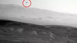 Did NASA Curiosity Rover Capture Bird-like Creature On Mars?
