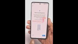 OnePlus Z Live Image Reveals Flat Screen With Punch-hole