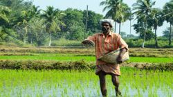 Apply For Kisan Credit Card Online: Step By Step Instructions