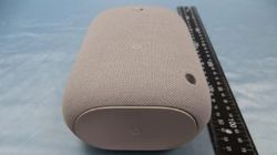 Upcoming Google Nest Smart Speaker First Look Is Out!