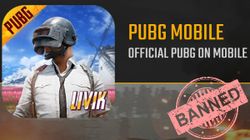 It Is Not PUBG That People Are Addicted To, It Is The Battle Royale Format