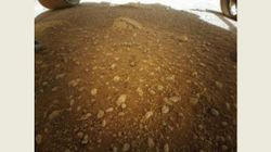 NASA Mars Helicopter Ingenuity Sends First Color Photo; Throws Light On Red Planet