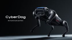 Xiaomi CyberDog: Another Toy For Rich People?