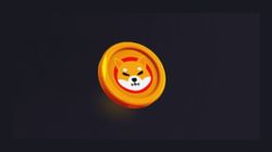 Is Shiba Inu The Next Dogecoin?