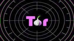 Twitter To Launch Tor Service For Users; Aims For Personal And Secure Tweeting