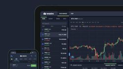 India's Biggest Crypto Exchange WazirX In Trouble: Time To Cash Out Crypto Investments?