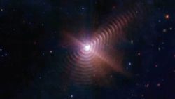 James Webb Space Telescope Takes Fingerprint Of Rare Star System